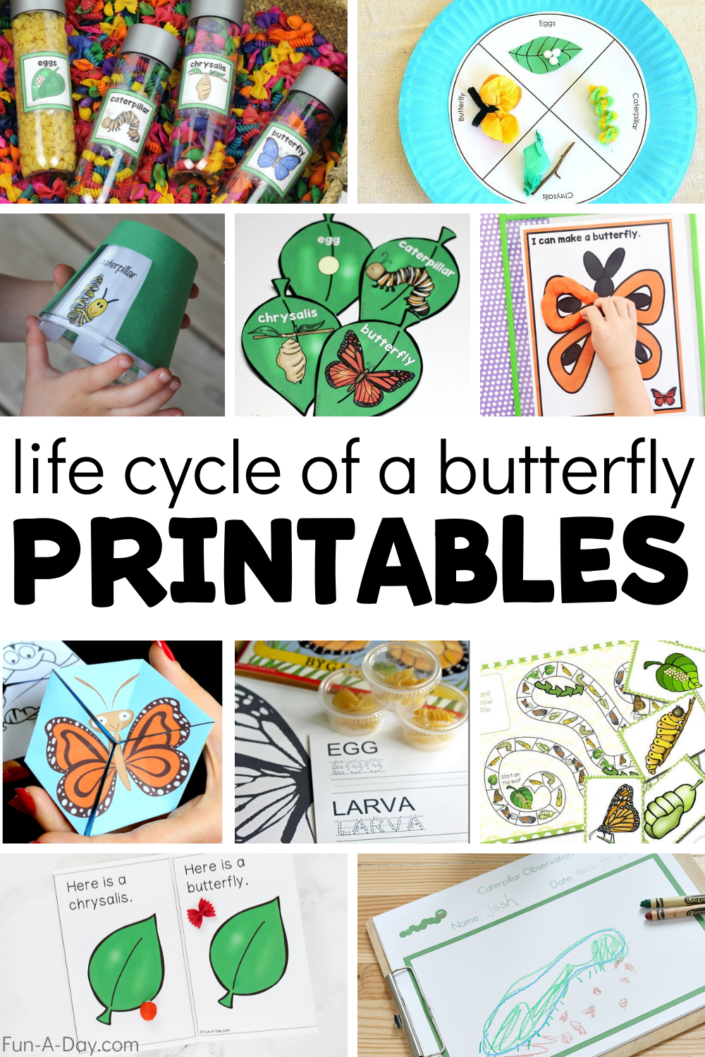 Free Butterfly Life Cycle Printables
