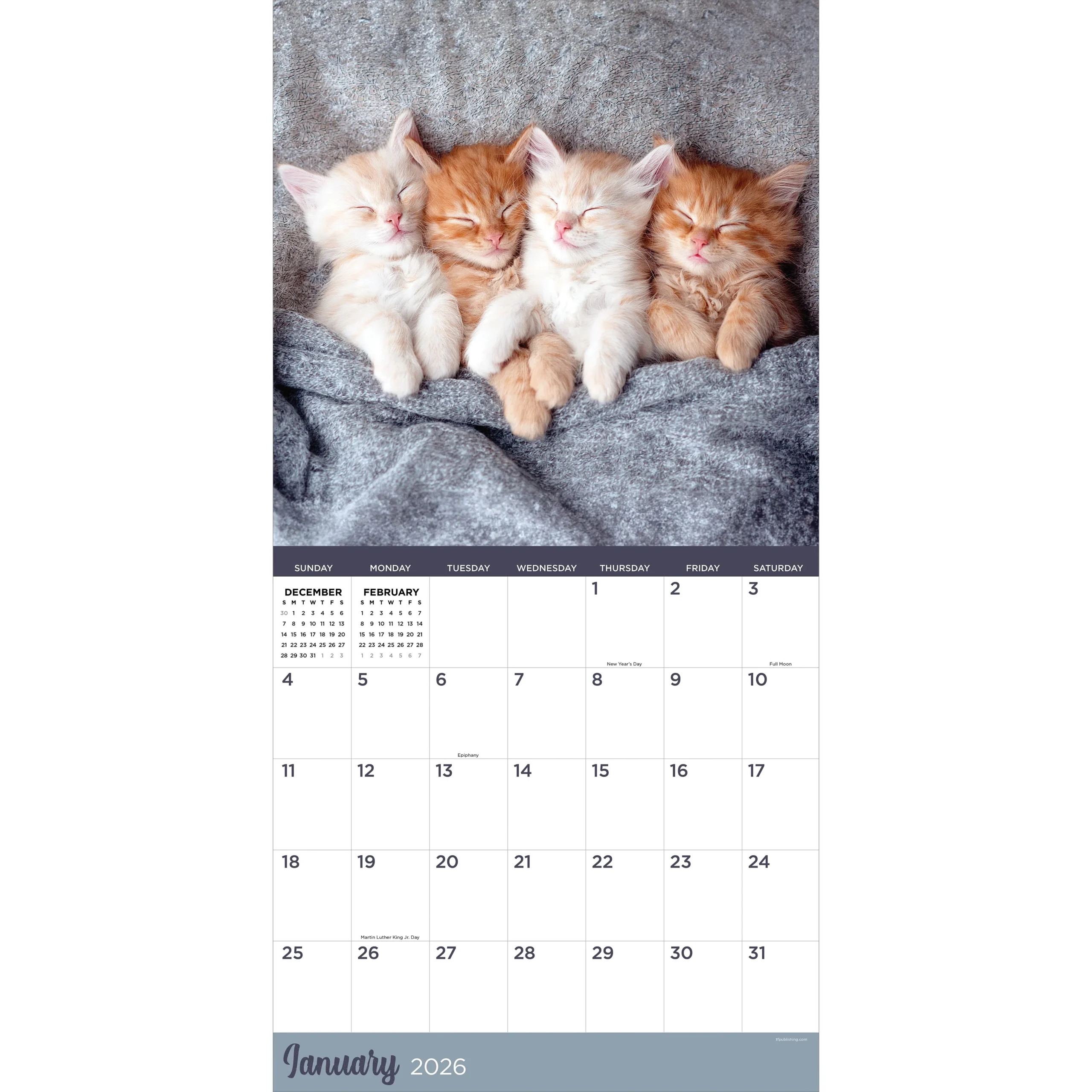 2026 Cat Dreams Square Wall Calendar