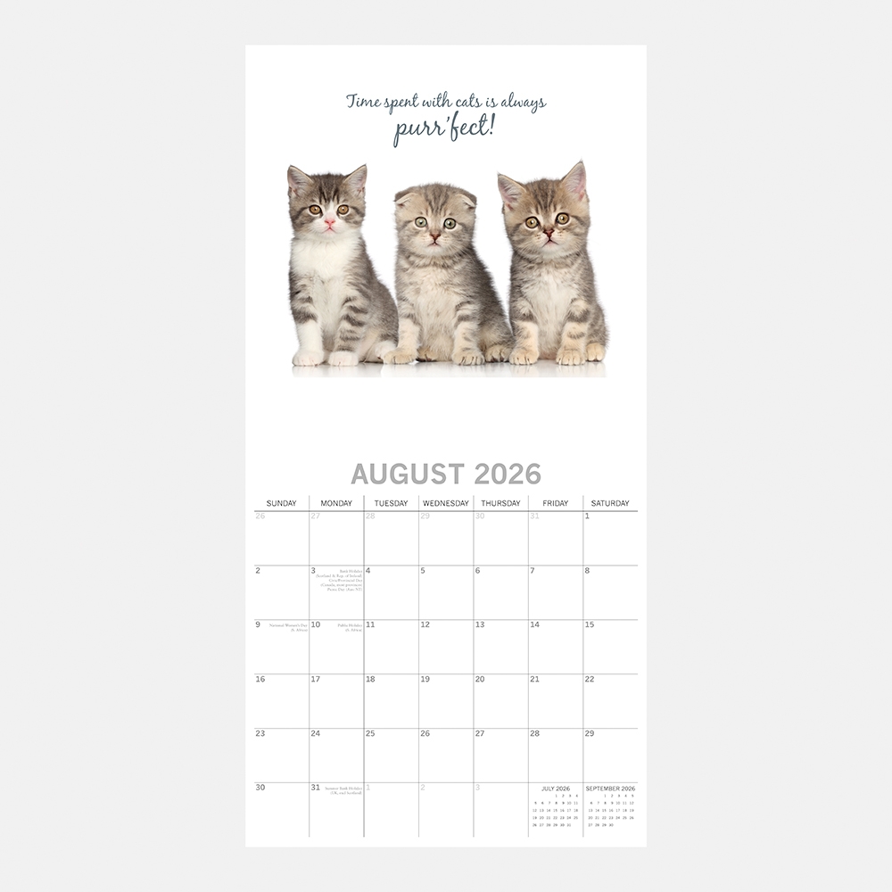 2026 Square Wall Calendar Cute Kittens Wholesale Stationery