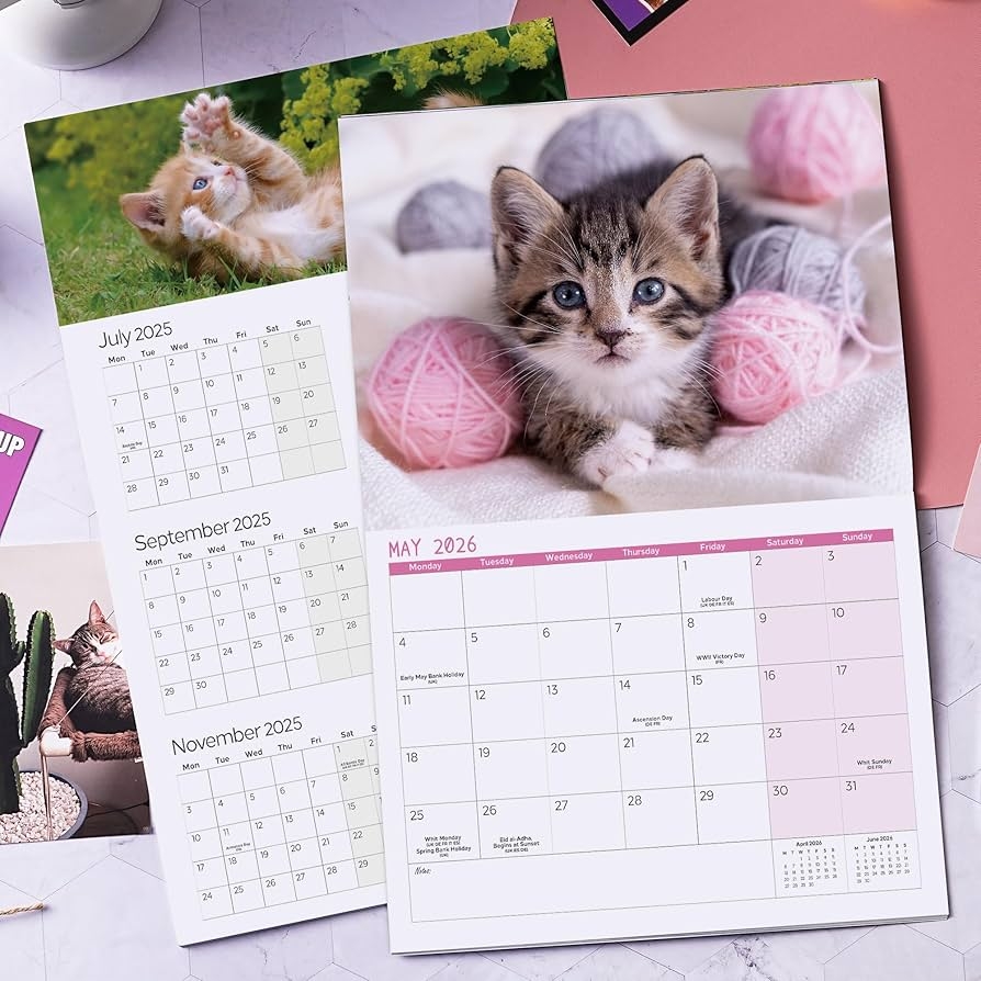 2026 Wall Calendar 2026 Cute Kittens Calendar From January 2026 