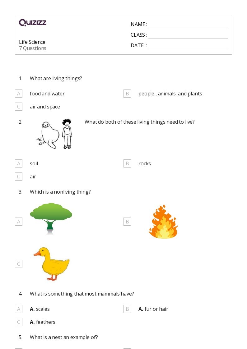 50 Science Worksheets For 1st Class On Quizizz Free amp Printable