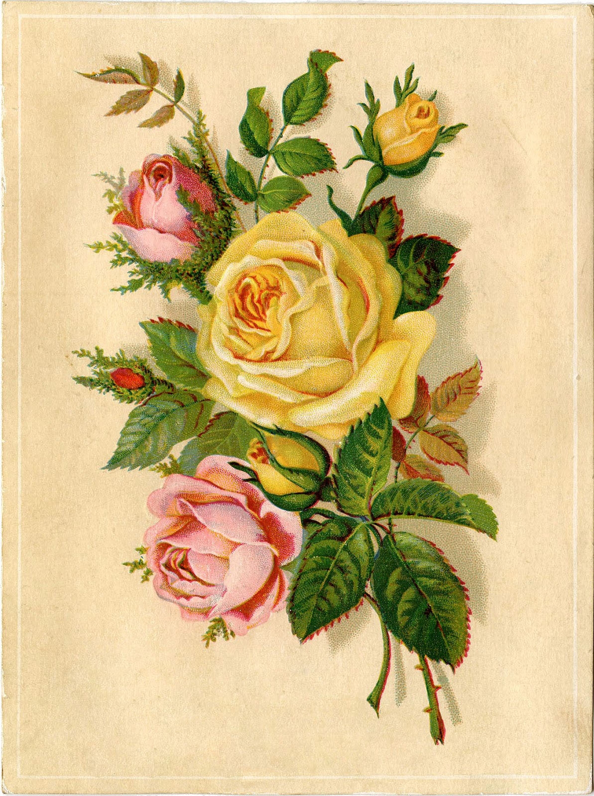 672 Vintage Flower Images The Graphics Fairy