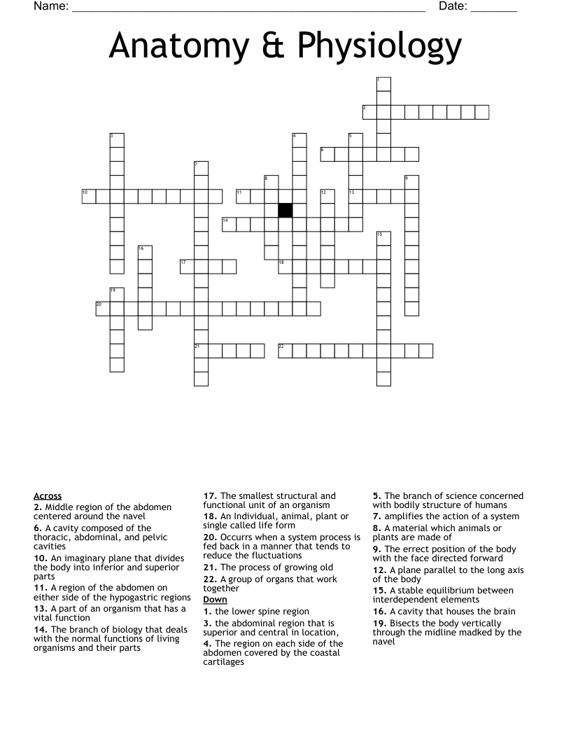 Anatomy amp Physiology Crossword WordMint