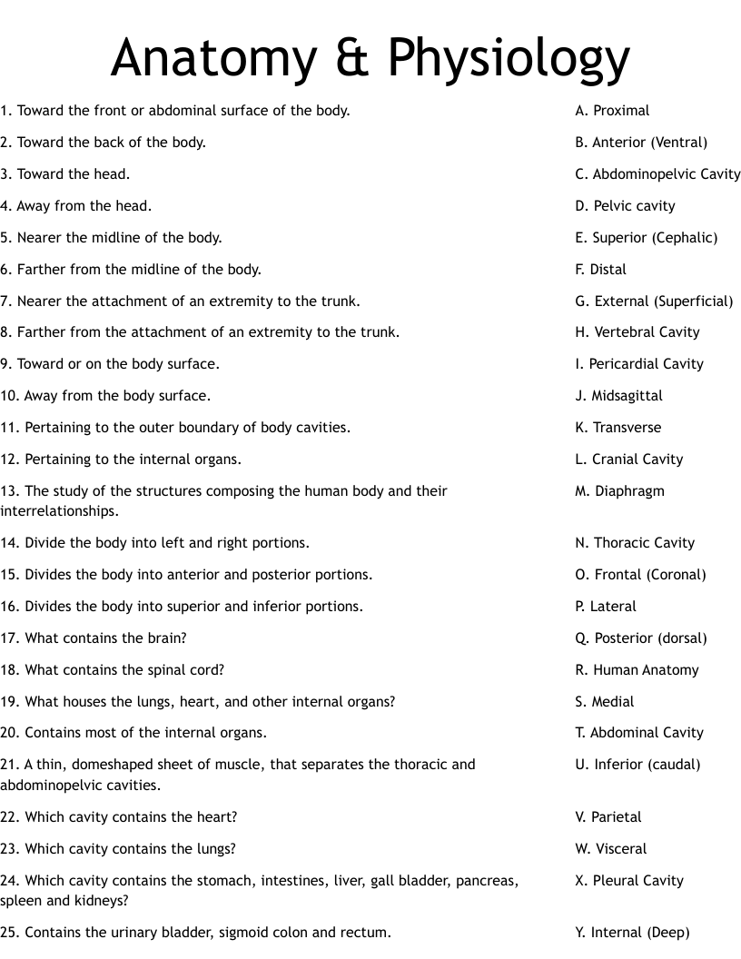 Anatomy amp Physiology Worksheet WordMint