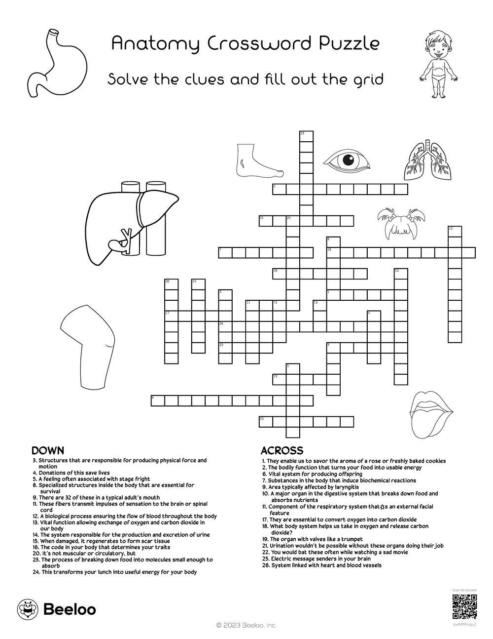 Anatomy Crossword Puzzle Beeloo Printable Crafts And Activities 