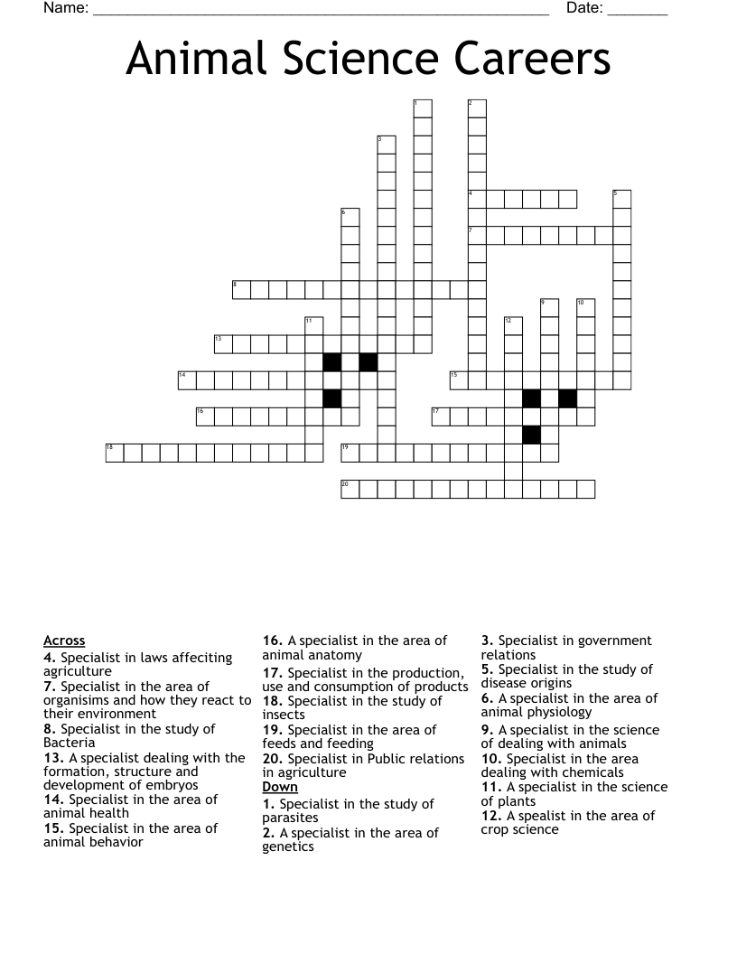 Career Crossword Puzzle Answer Key