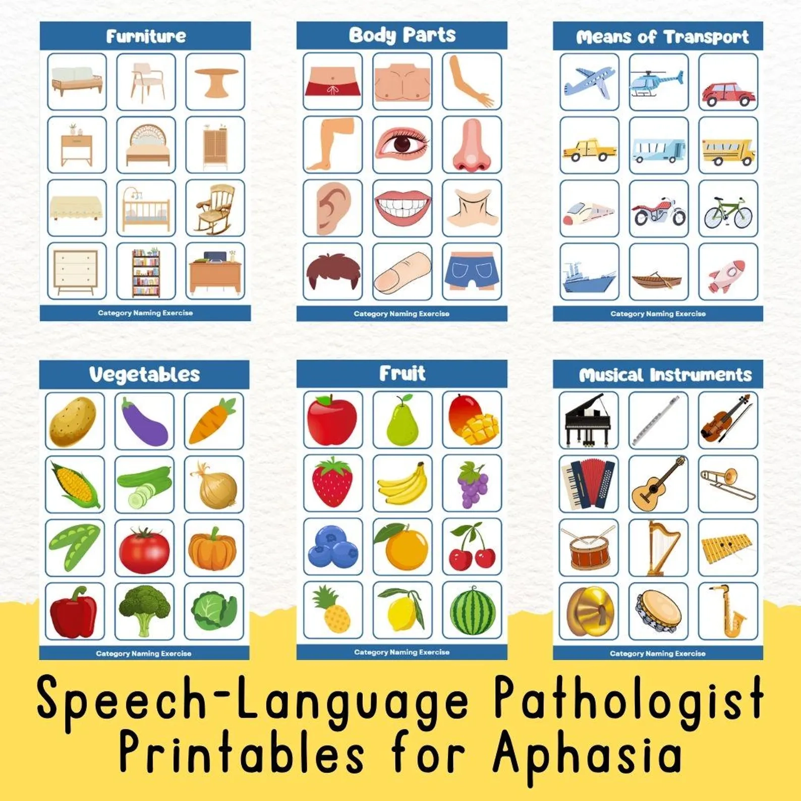 Aphasia Printable Post Stroke Rehabilitation Categorizing Worksheet