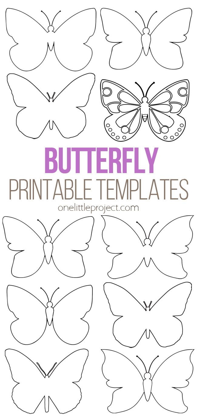 Butterfly Template Free Printable Butterfly Outlines One 
