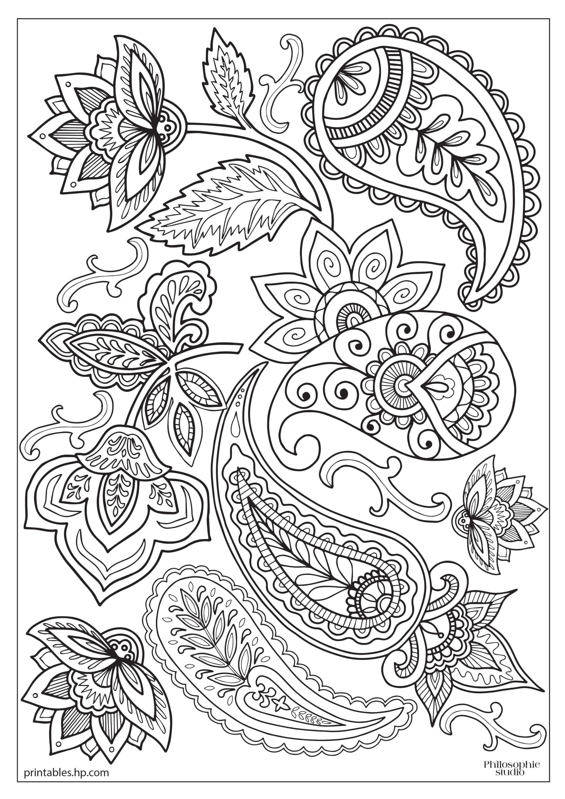 Coloring For Adults Paisley Print Printables Free Coloring 