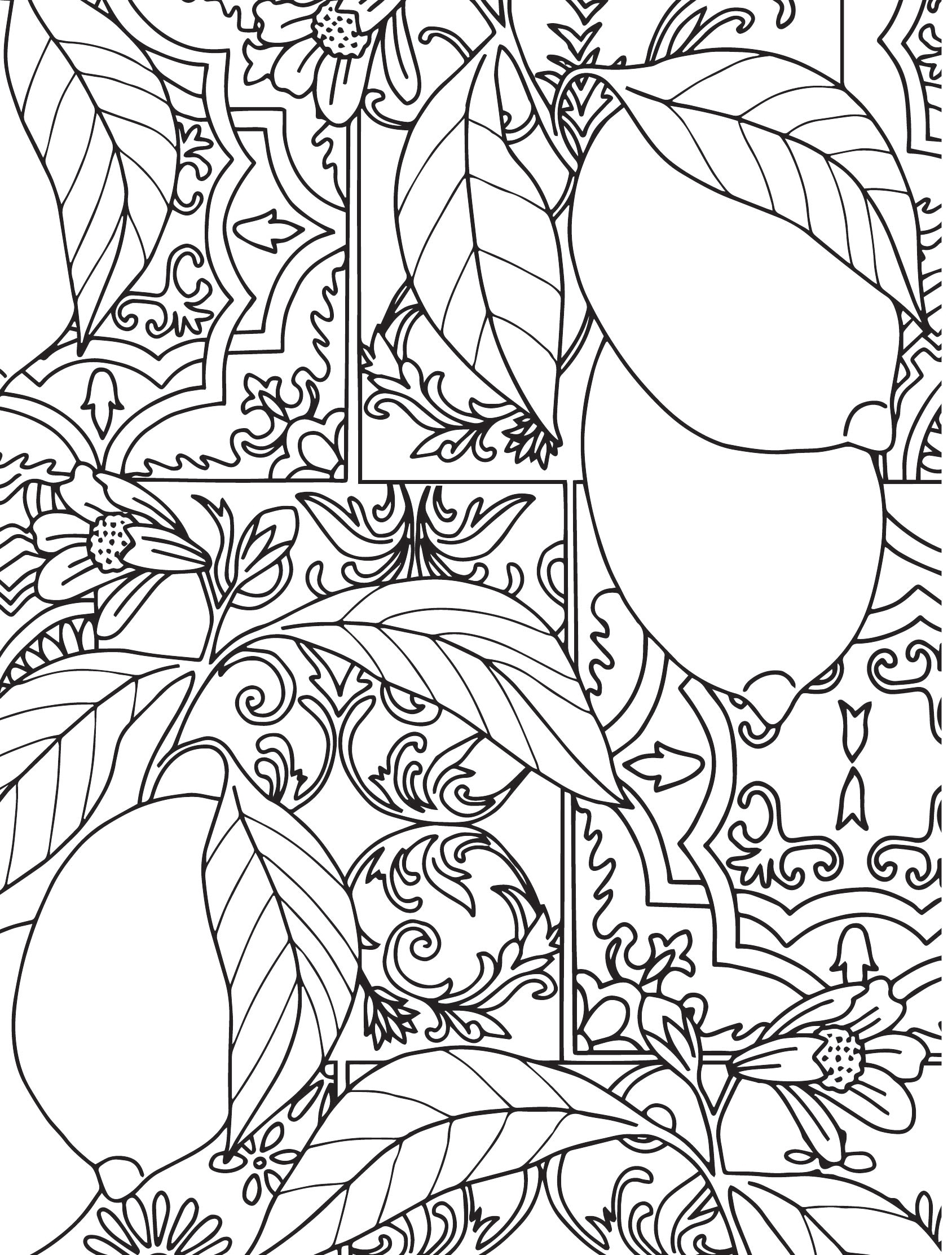 Colouring For Adults Printables Free Coloring Pages amp Learning 