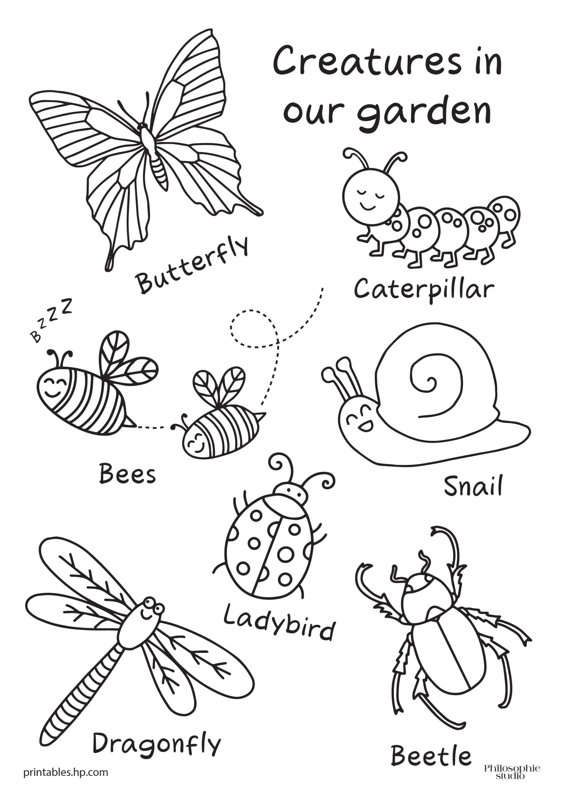 Creatures In Our Garden Printables Free Coloring Pages 