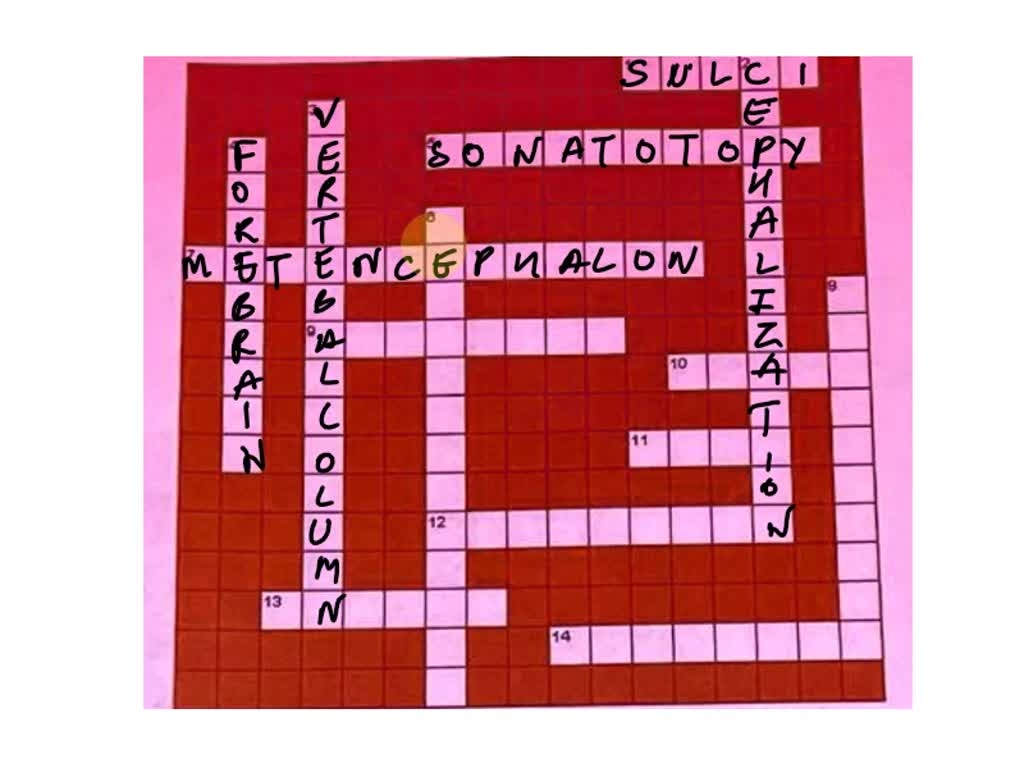 Crossword Puzzle 15 Marieb Human Anatomy Physiology Across 3 You 