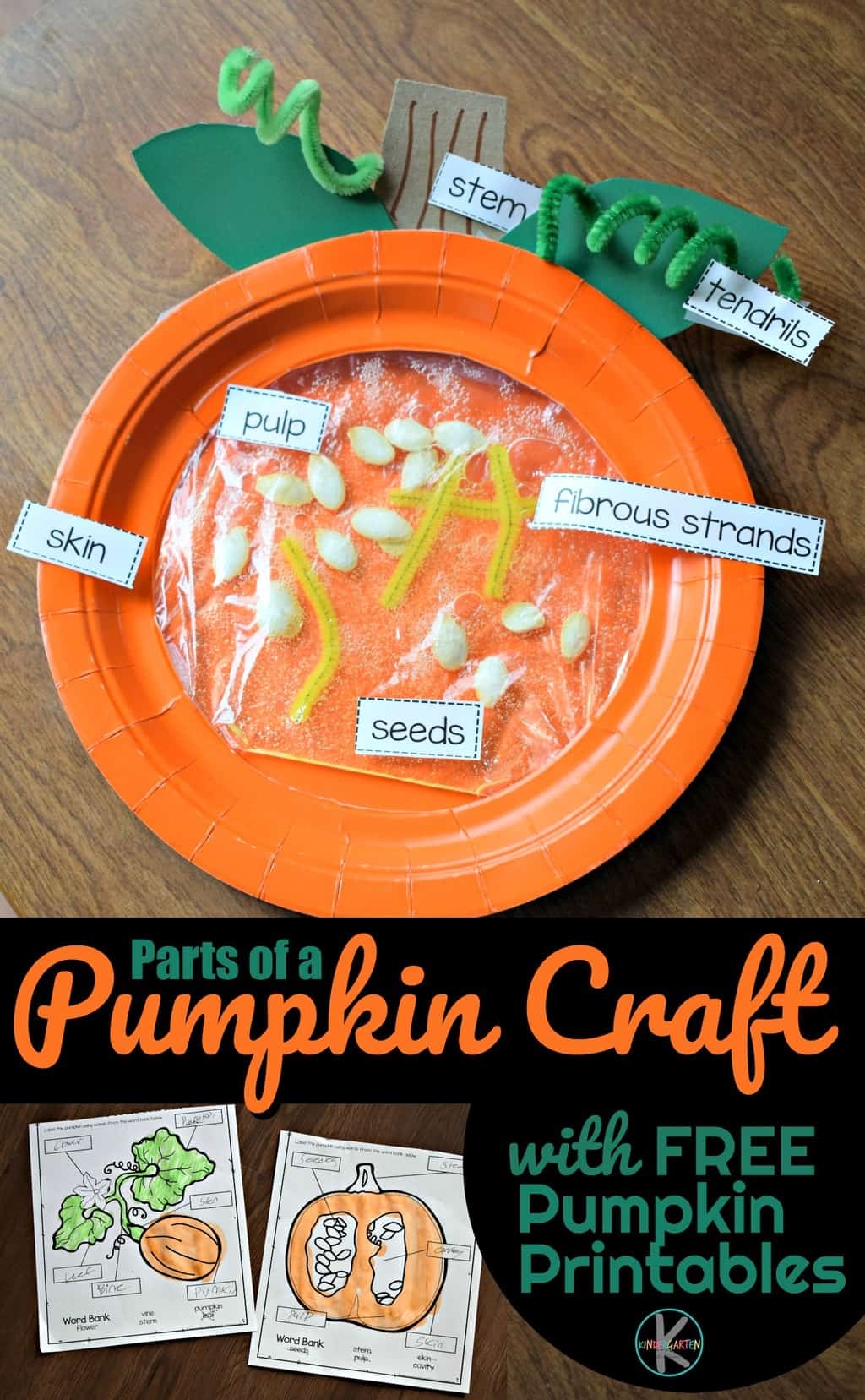 Parts Of A Pumpkin Preschool