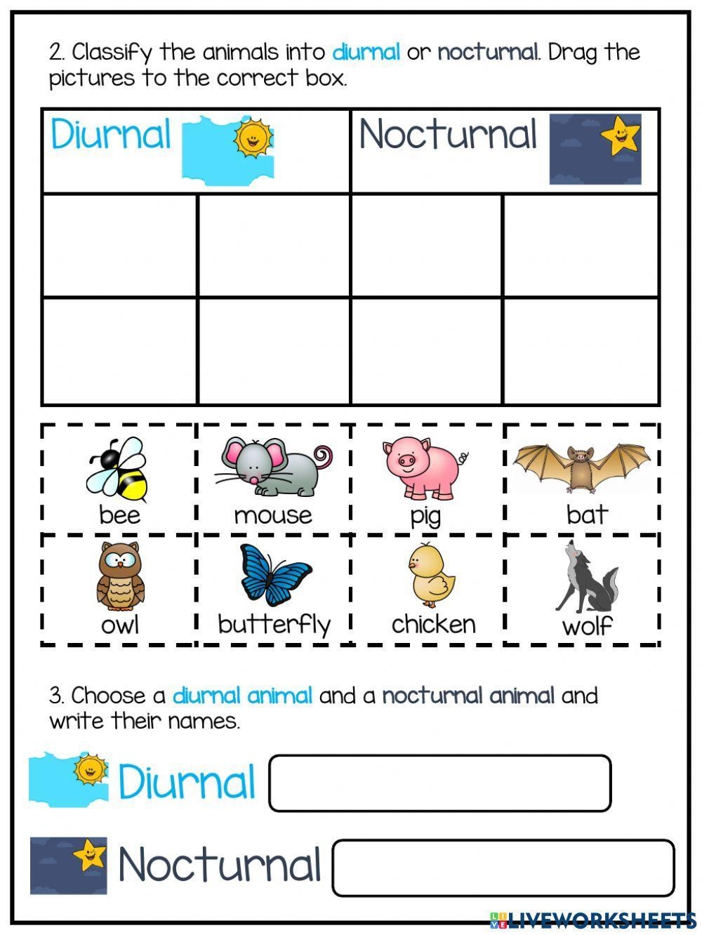 Day And Night Free Interactive Worksheets 938722