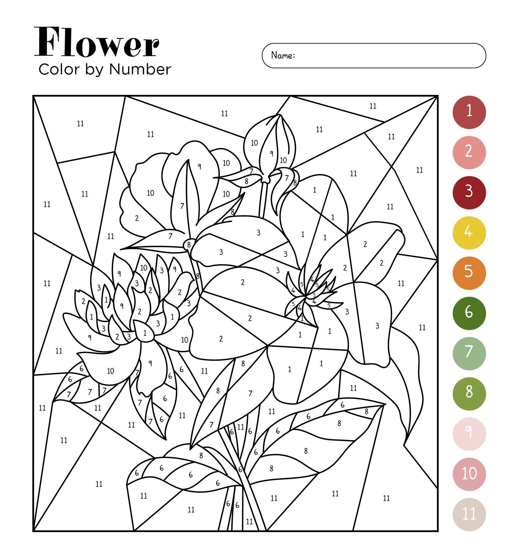 Draw By Numbers