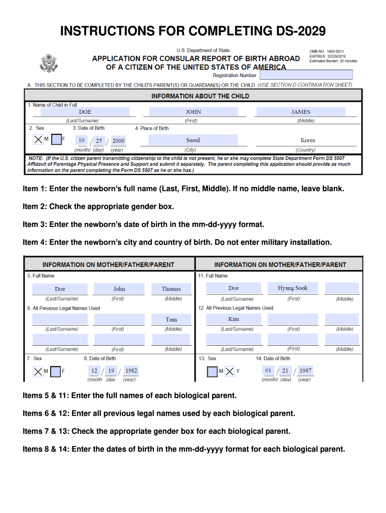 DS 2029 Instructions Form Fill Online Printable Fillable 