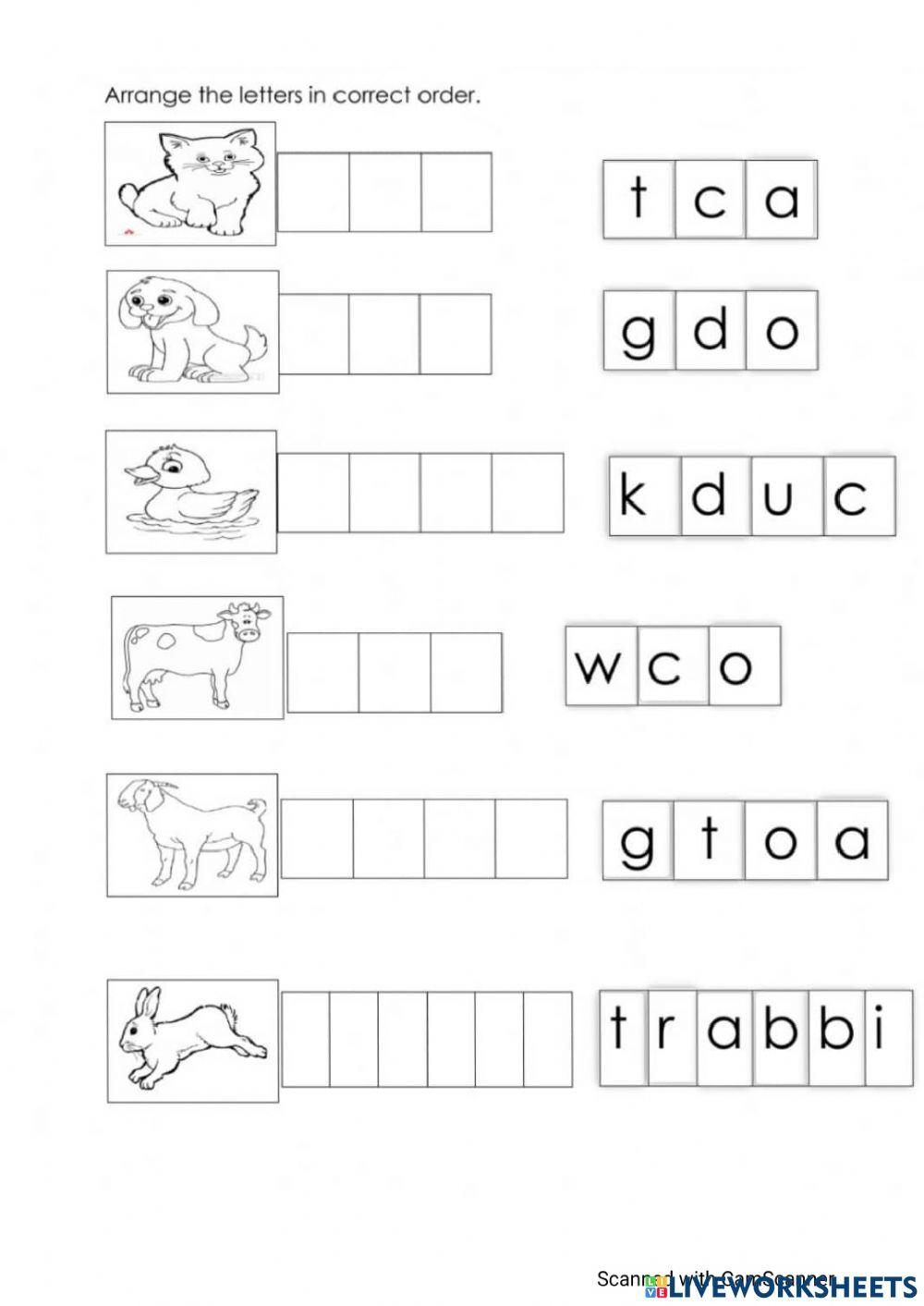 English 5 Years Free Interactive Worksheets 3292558