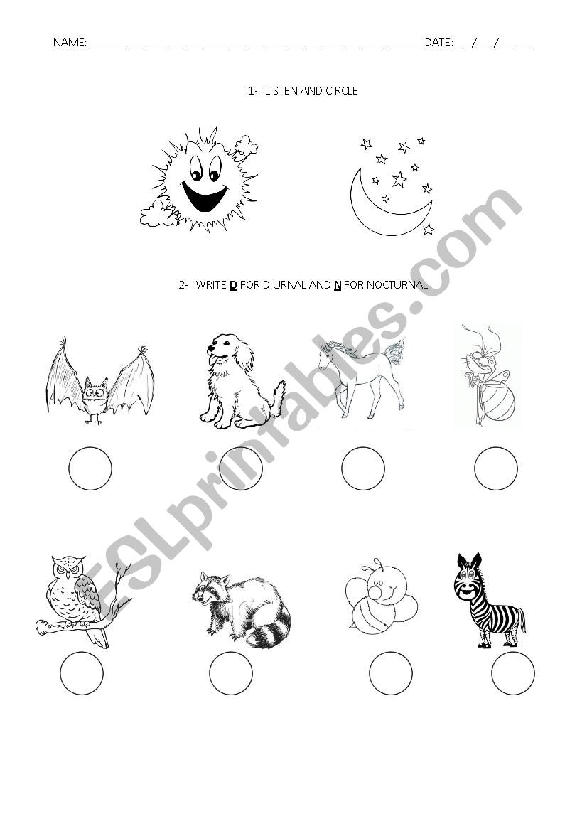 English Worksheets Listening Day Night Diurnal And Nocturnal 