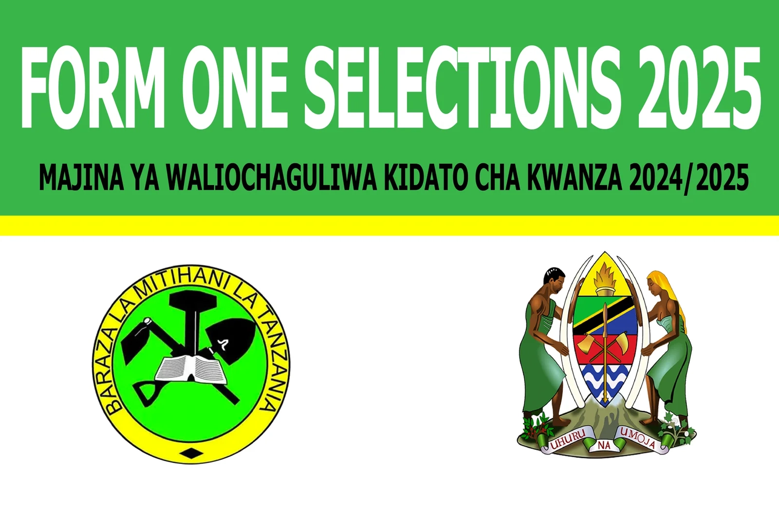 Form One Selection 2026 Dar Es Salaam Waliochaguliwa Kidato Cha 