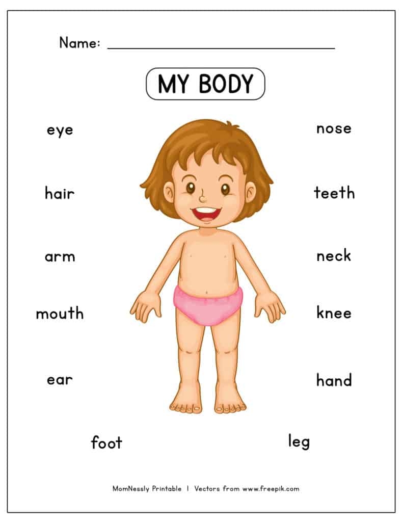 Free Body Parts Worksheet Tribobot X Mom Nessly