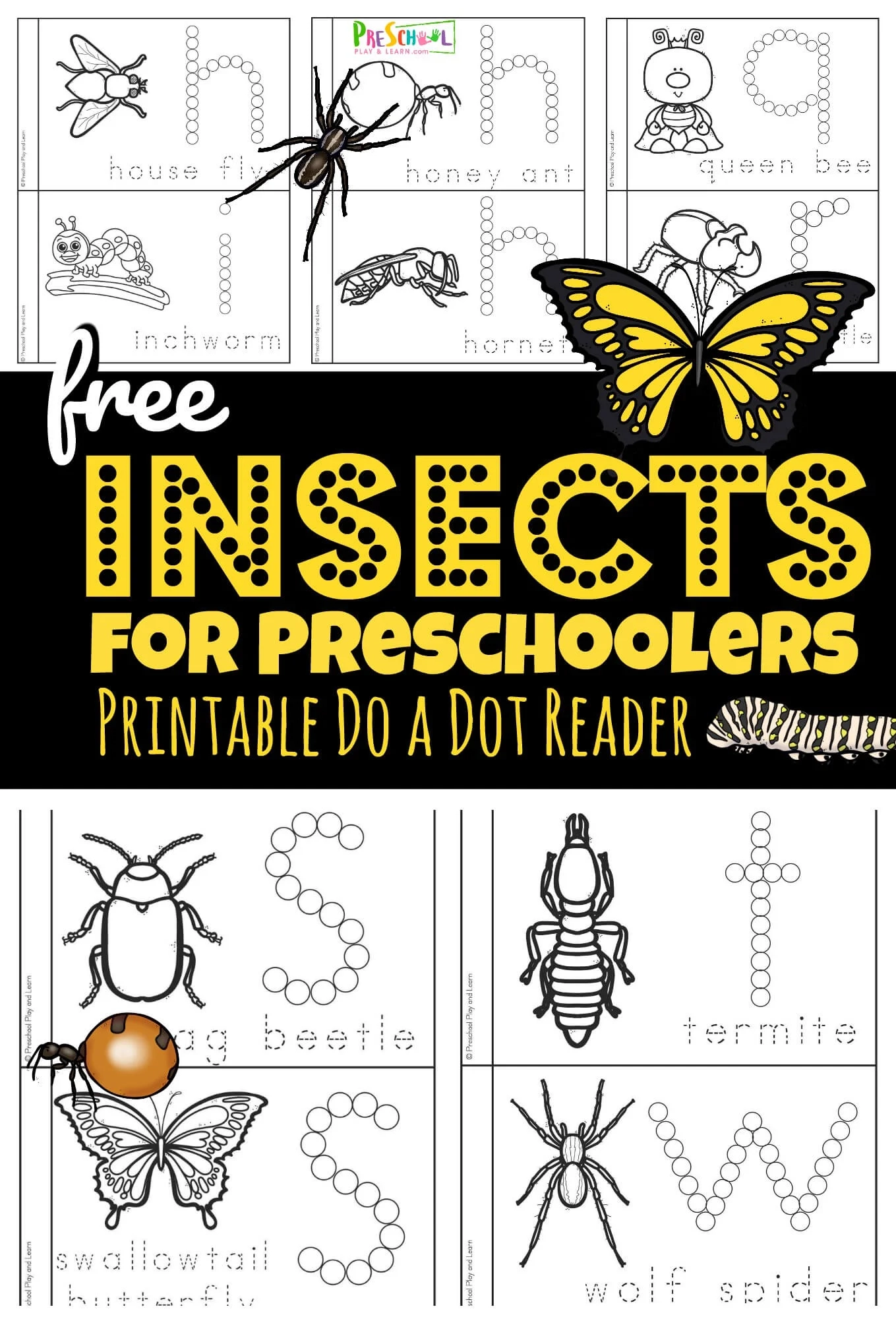 Printable Insect Worksheets For Preschool