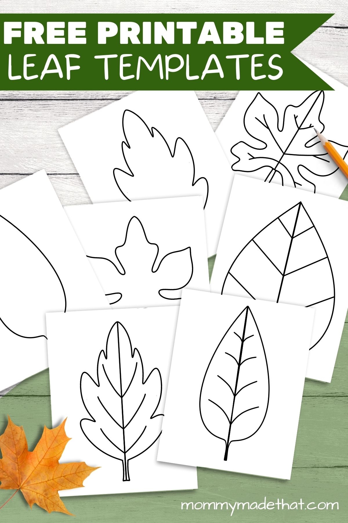 Free Printable Maple Leaf Template