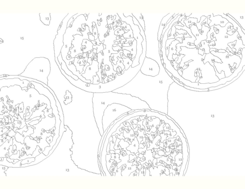 Free Paint By Numbers For Adults With Color Key OriginalMOM