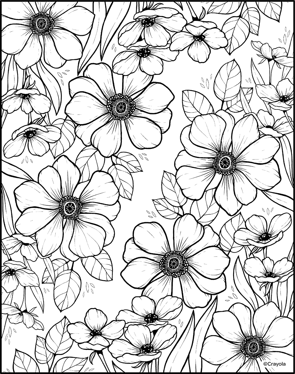 Free Printable Adult Color