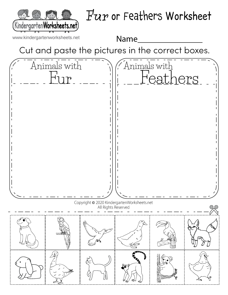 Science Printable Worksheets Free