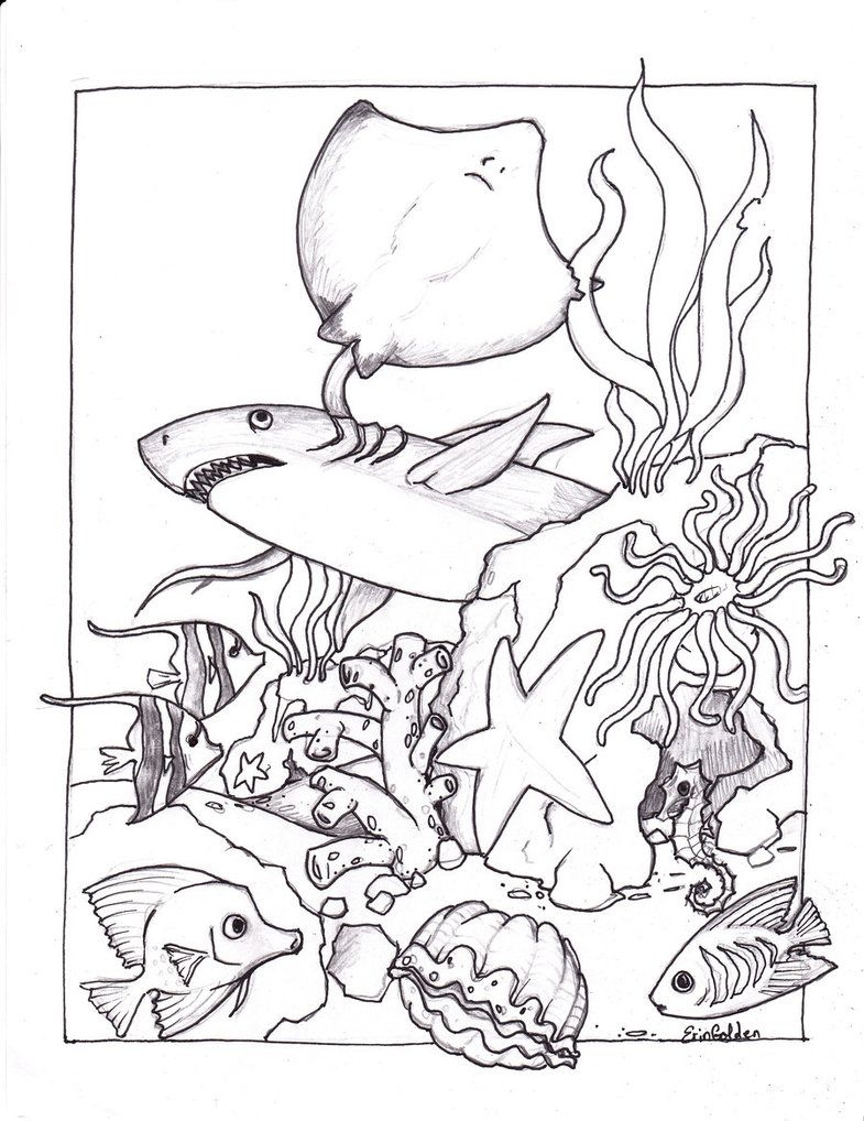 Free Printable Ocean Coloring Sheets