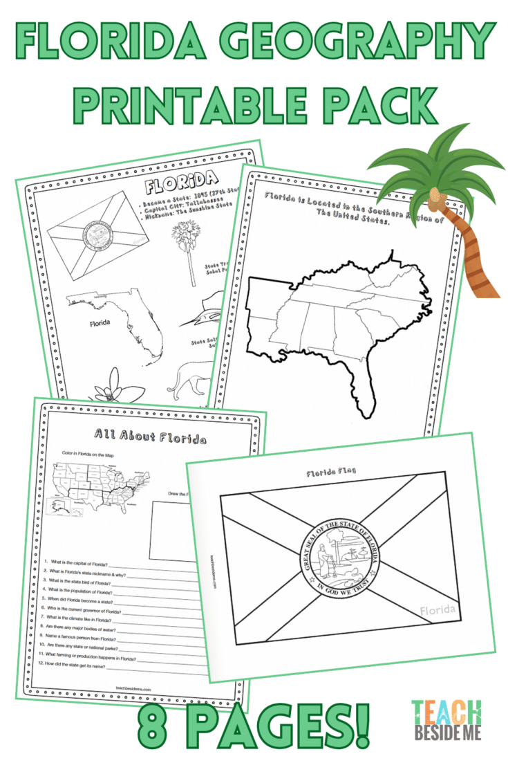 Free Printable State Facts Worksheets For Kids