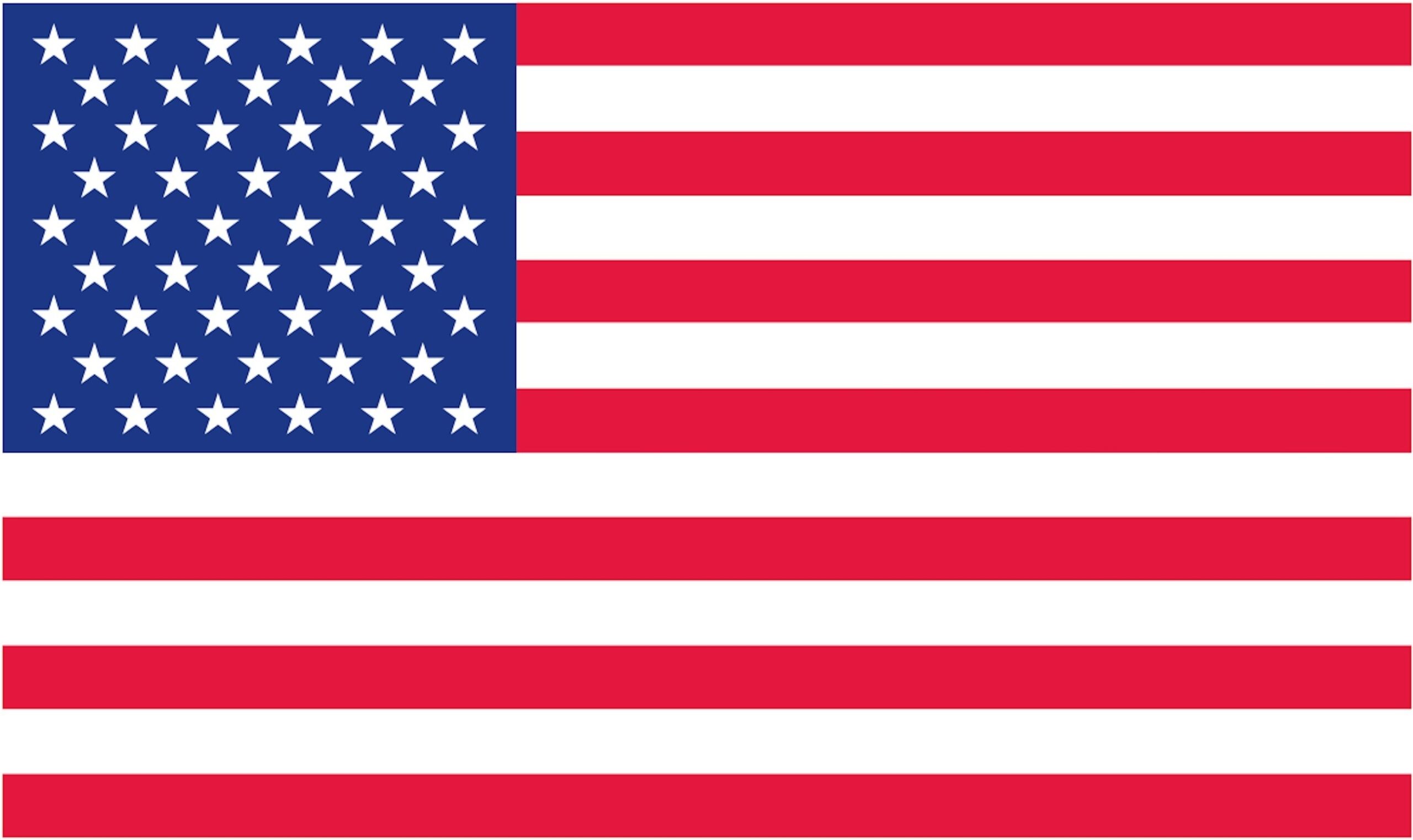FREE Printable US Flags amp American Flag Color Book Pages