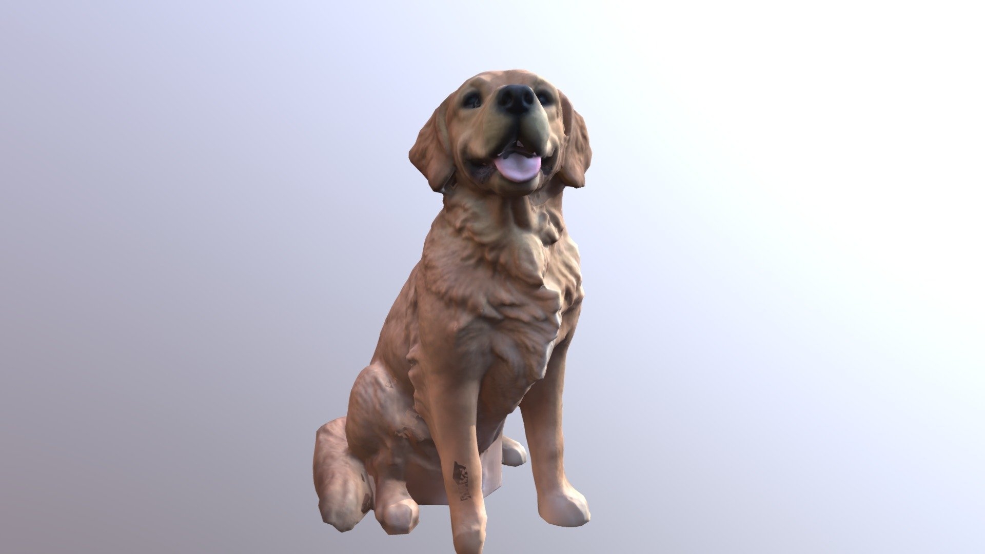 Golden Retriever Sitting Download Free 3D Model By David 