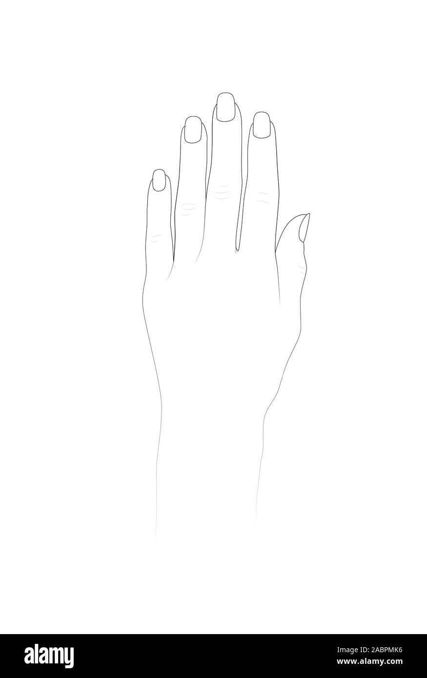 Hand Template For Henna Design And Nail Art Practice Vector 