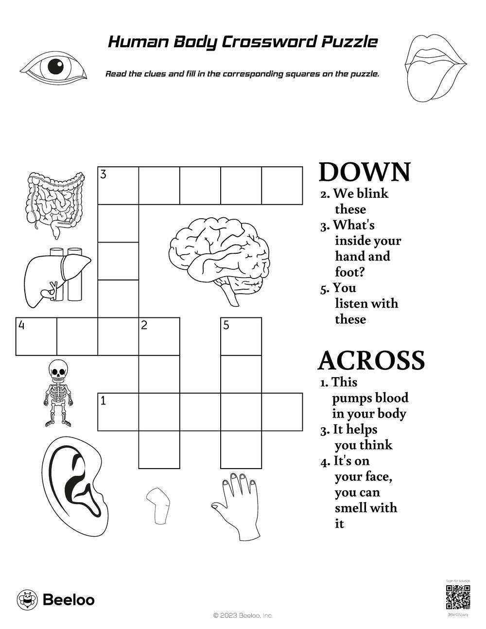 Printable Crossword Puzzles For Anatomy