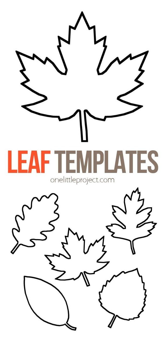 Leaf Template leaf template printable free 