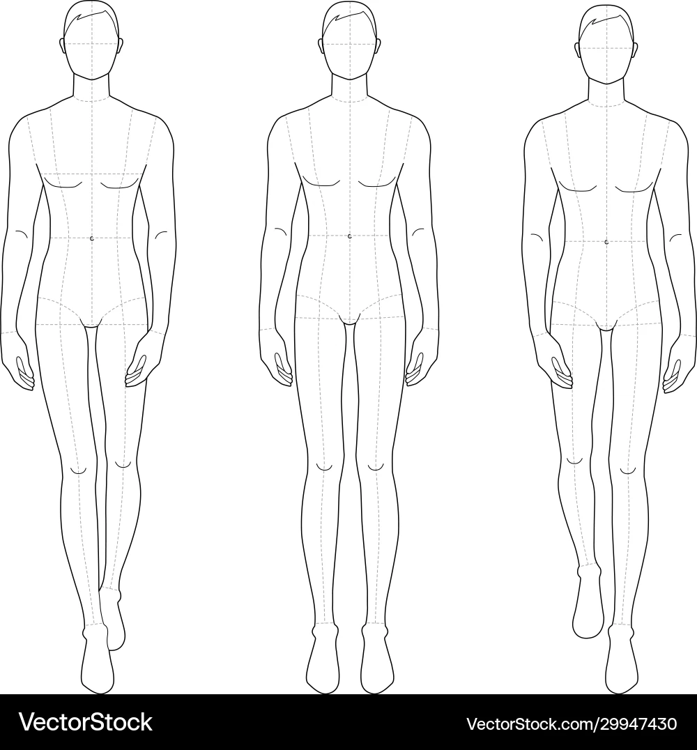 Male Fashion Figure Template Royalty Free Vector VectorStock