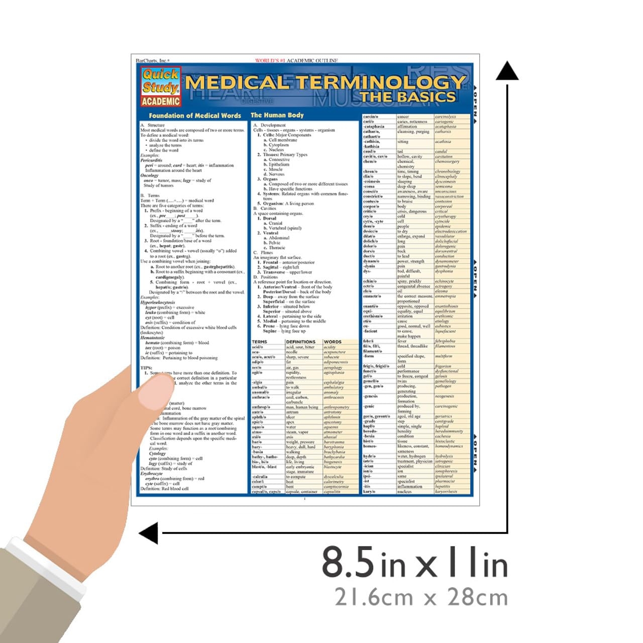 Medical Terminology The Basics QuickStudy Laminated Ireland Ubuy
