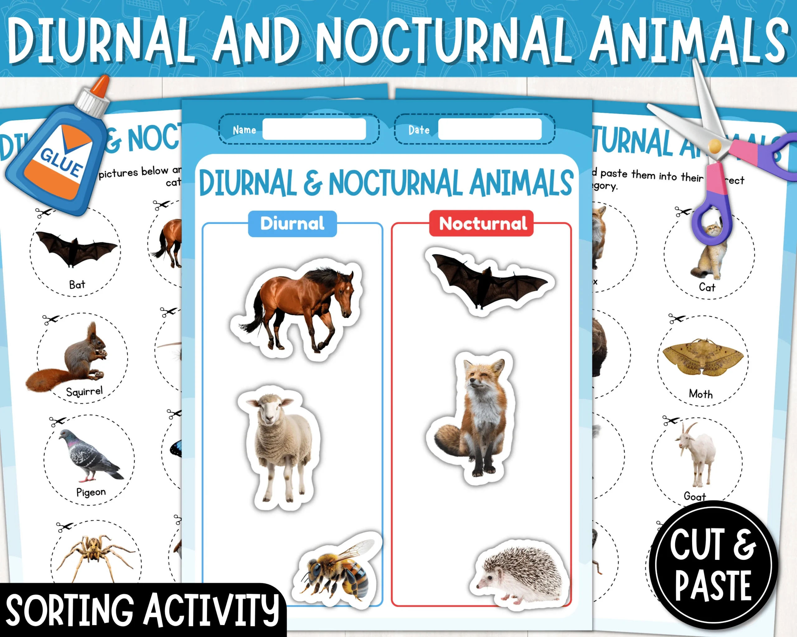 Nocturnal And Diurnal Animals Sorting Activity Printable Real 