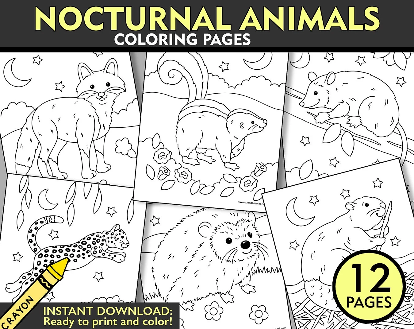 Nocturnal Animals Coloring Pages 12 Printable Sheets digital 