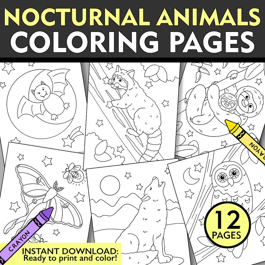 Nocturnal Animals Coloring Pages 12 Printable Sheets digital 