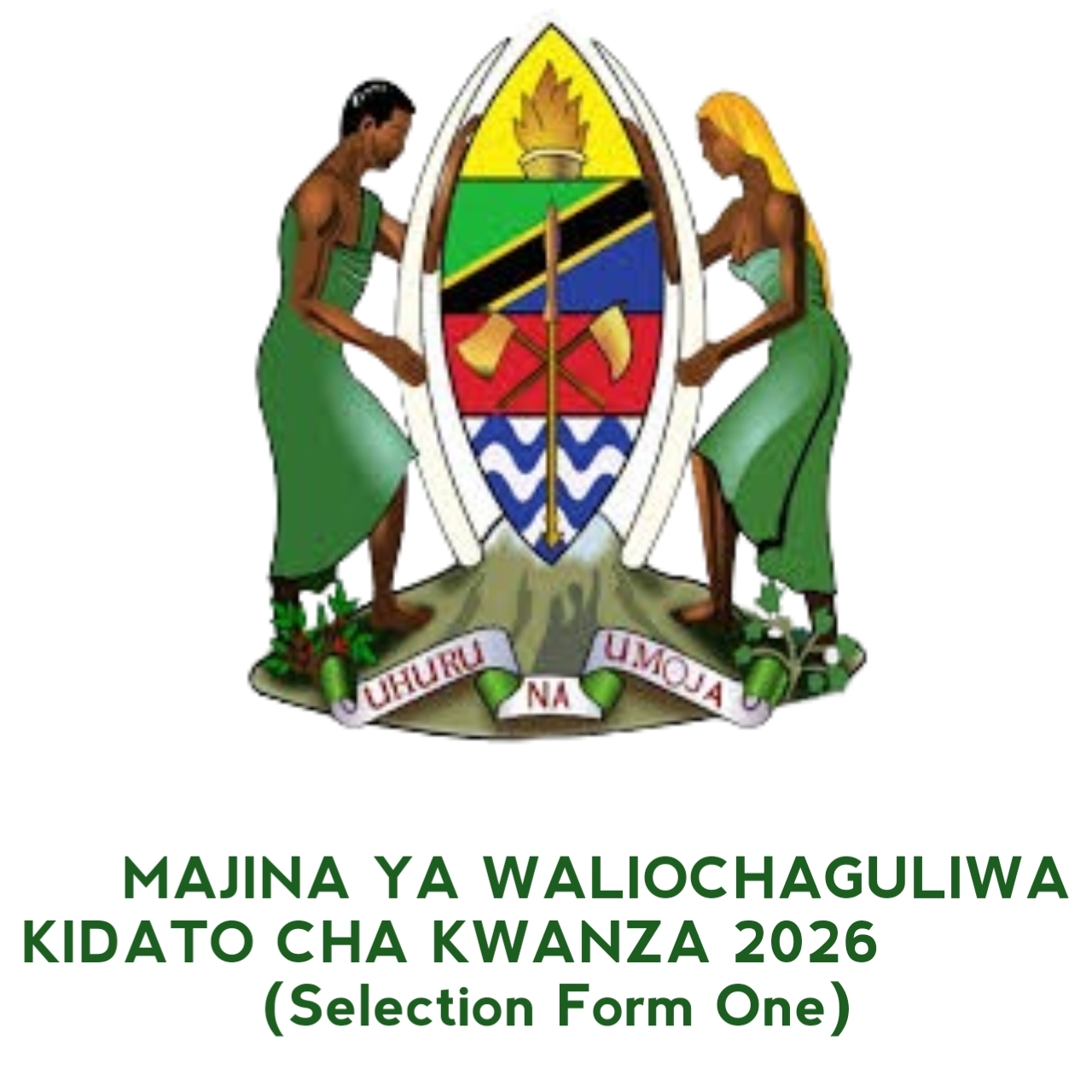 Selection Form One 2026