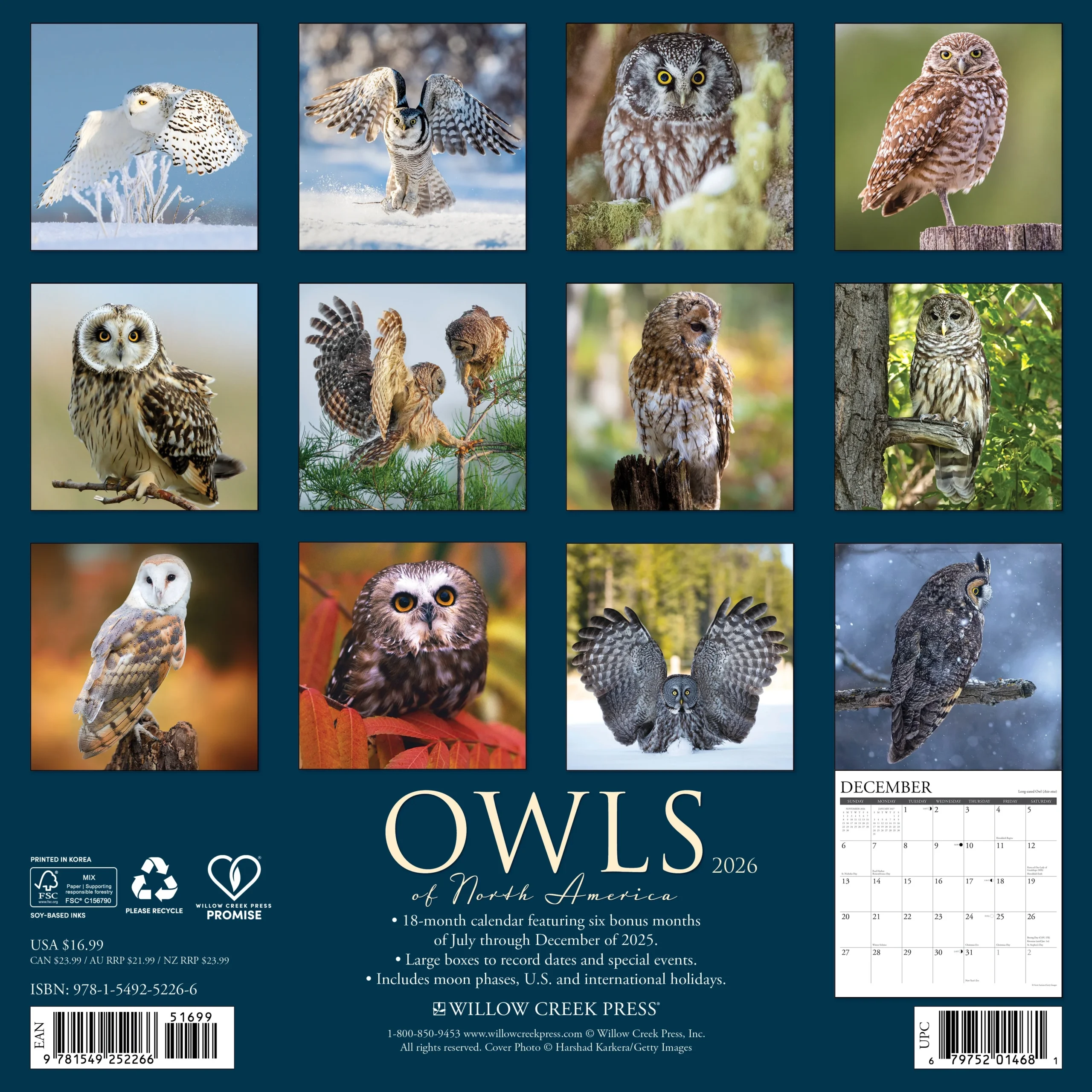November 2026 Printable Calendar Owls