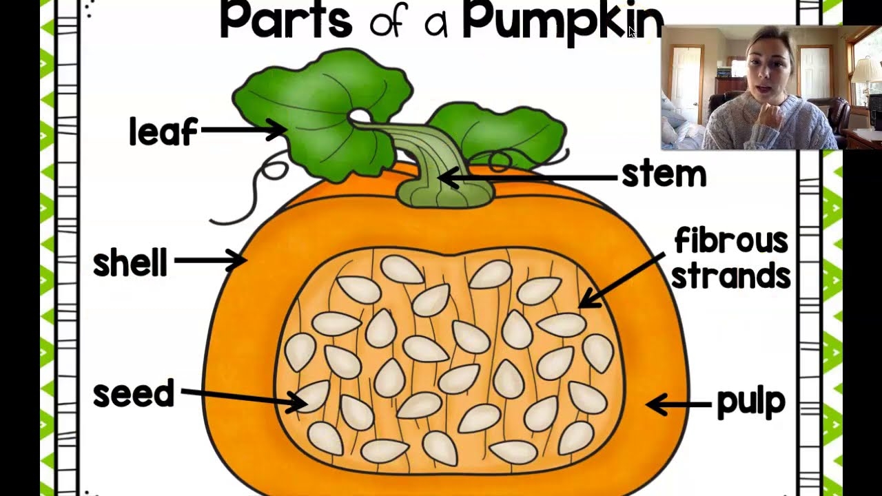 Parts Of A Pumpkin Instructional Video