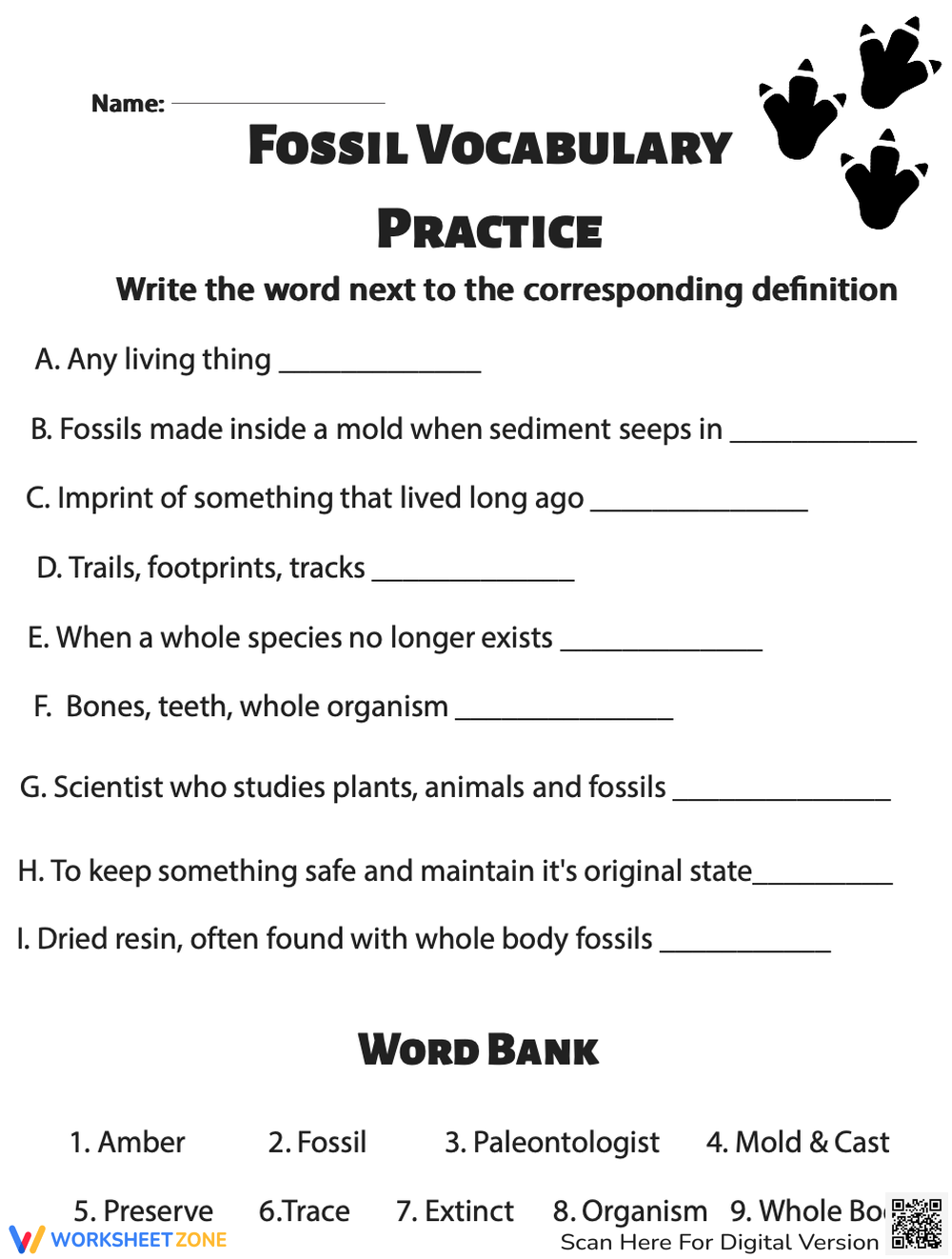 Printable Grade 3 Environment Worksheets