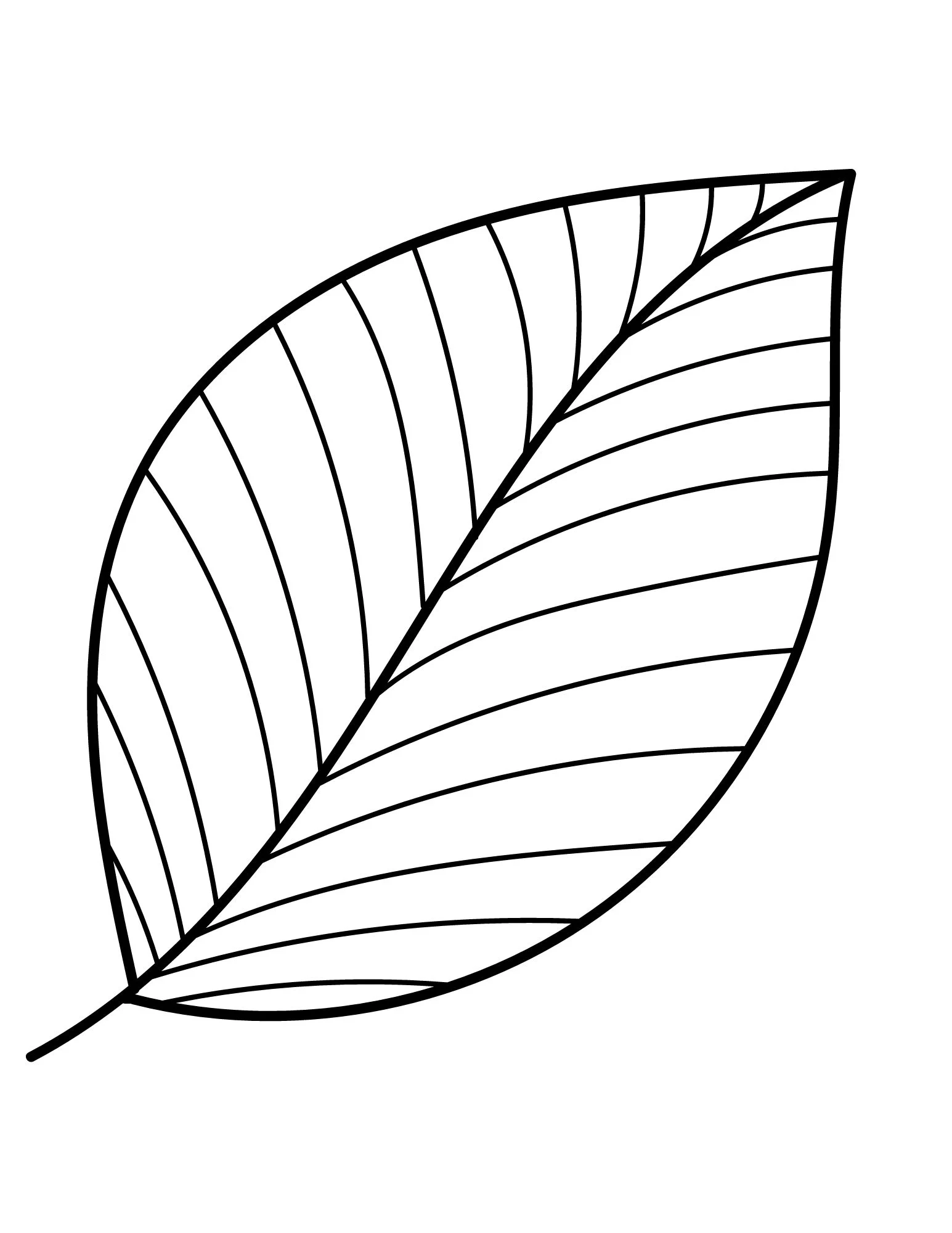 Leaf Templates Printable