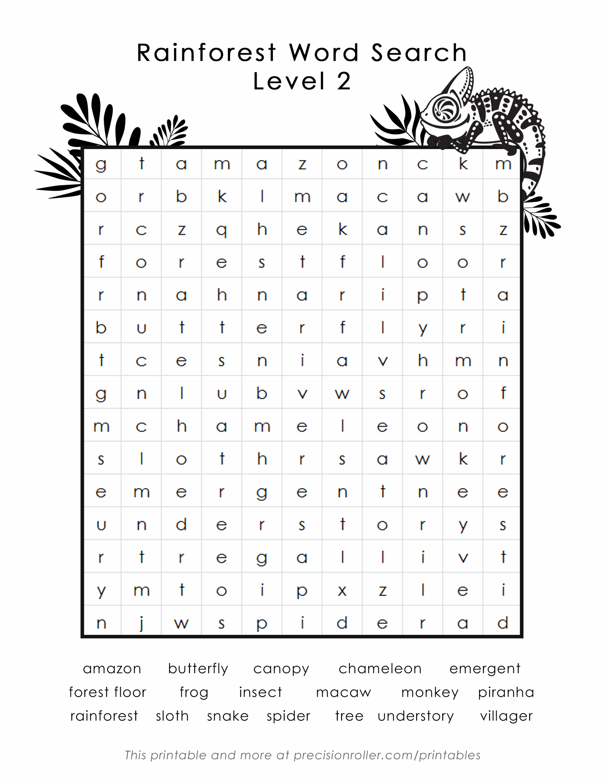 Free Printable Rainforest Worksheets