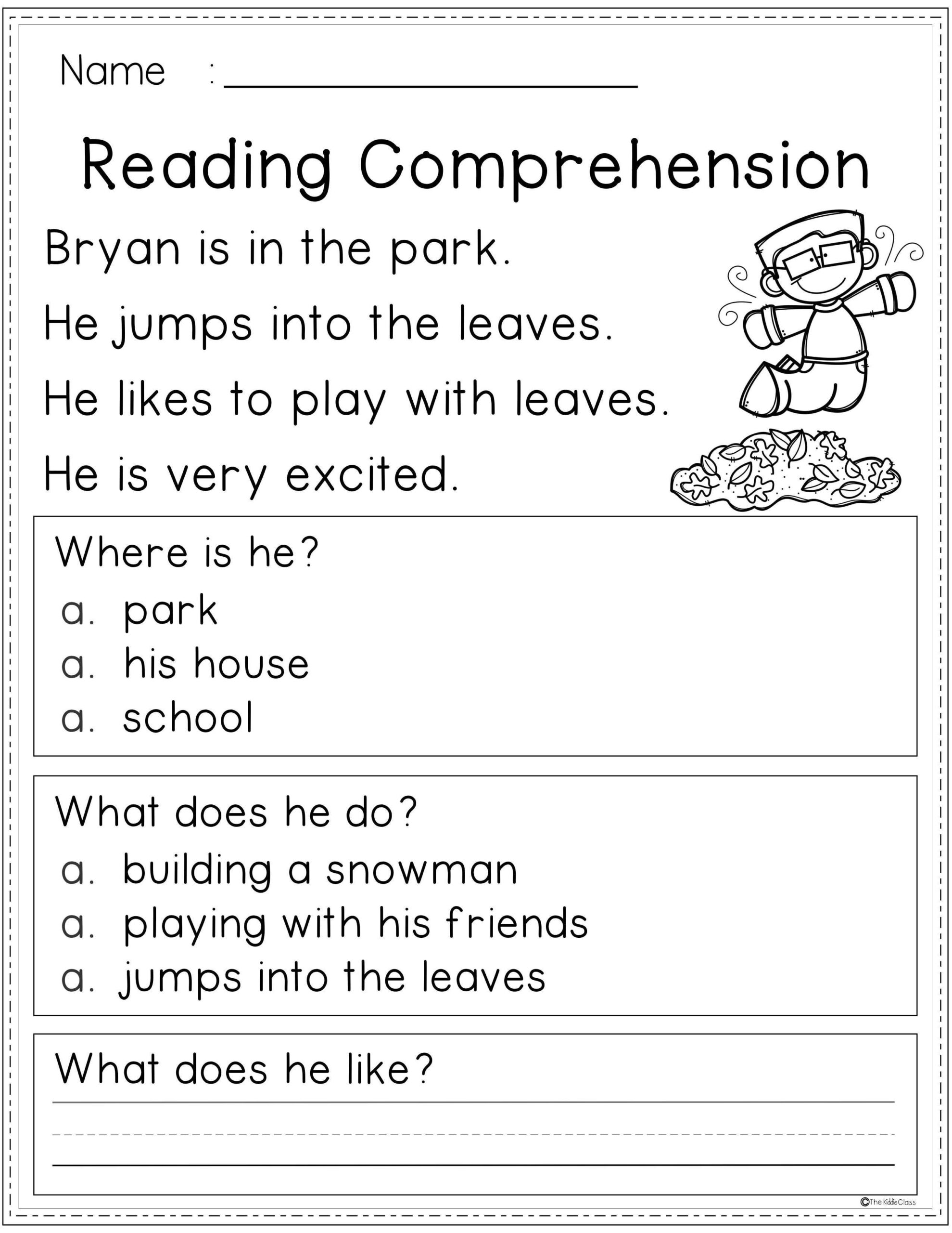 Reading Comprehension Printable Worksheet First Grade 