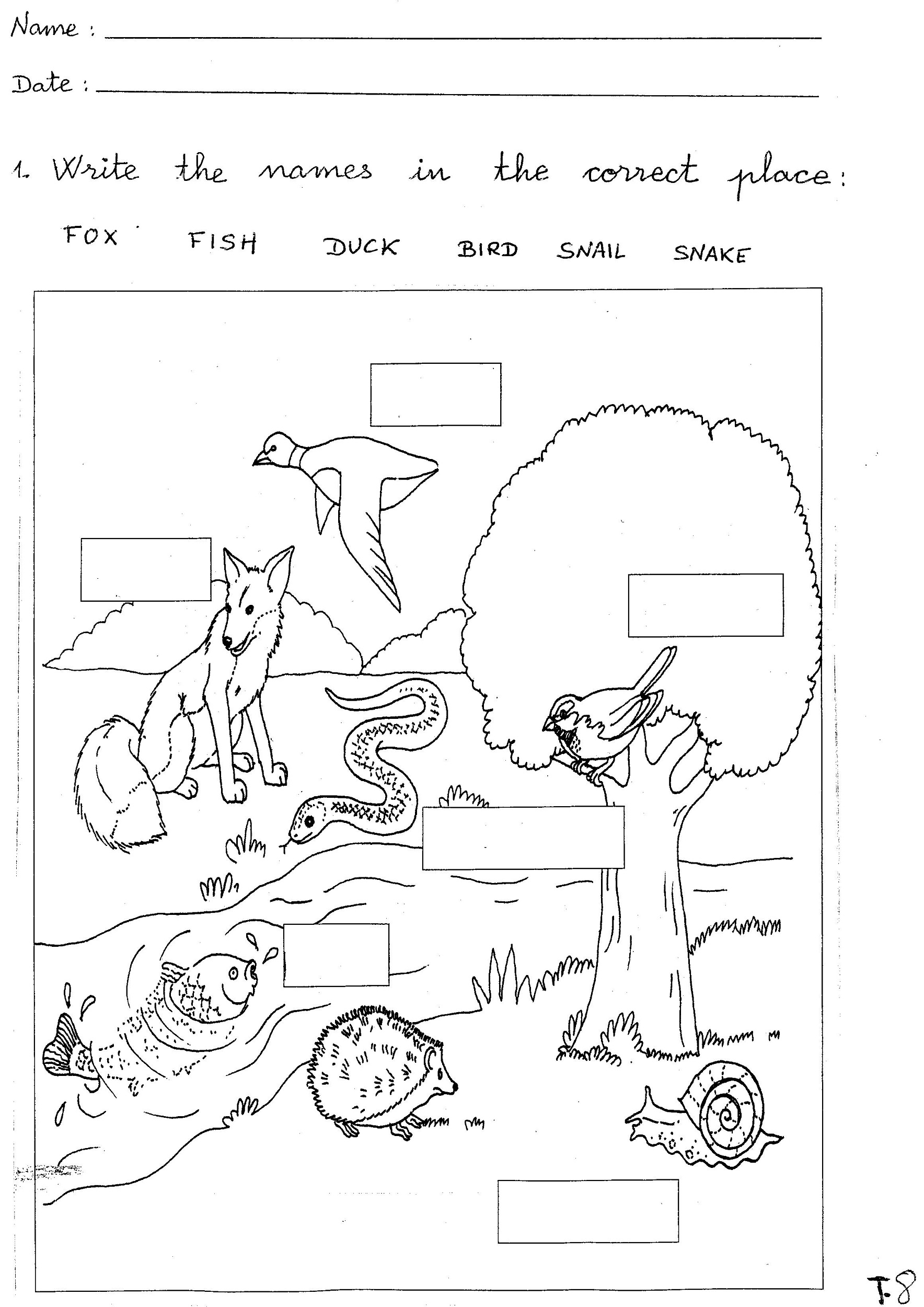 Science Worksheets Word Lists And Activities GreatSchools 