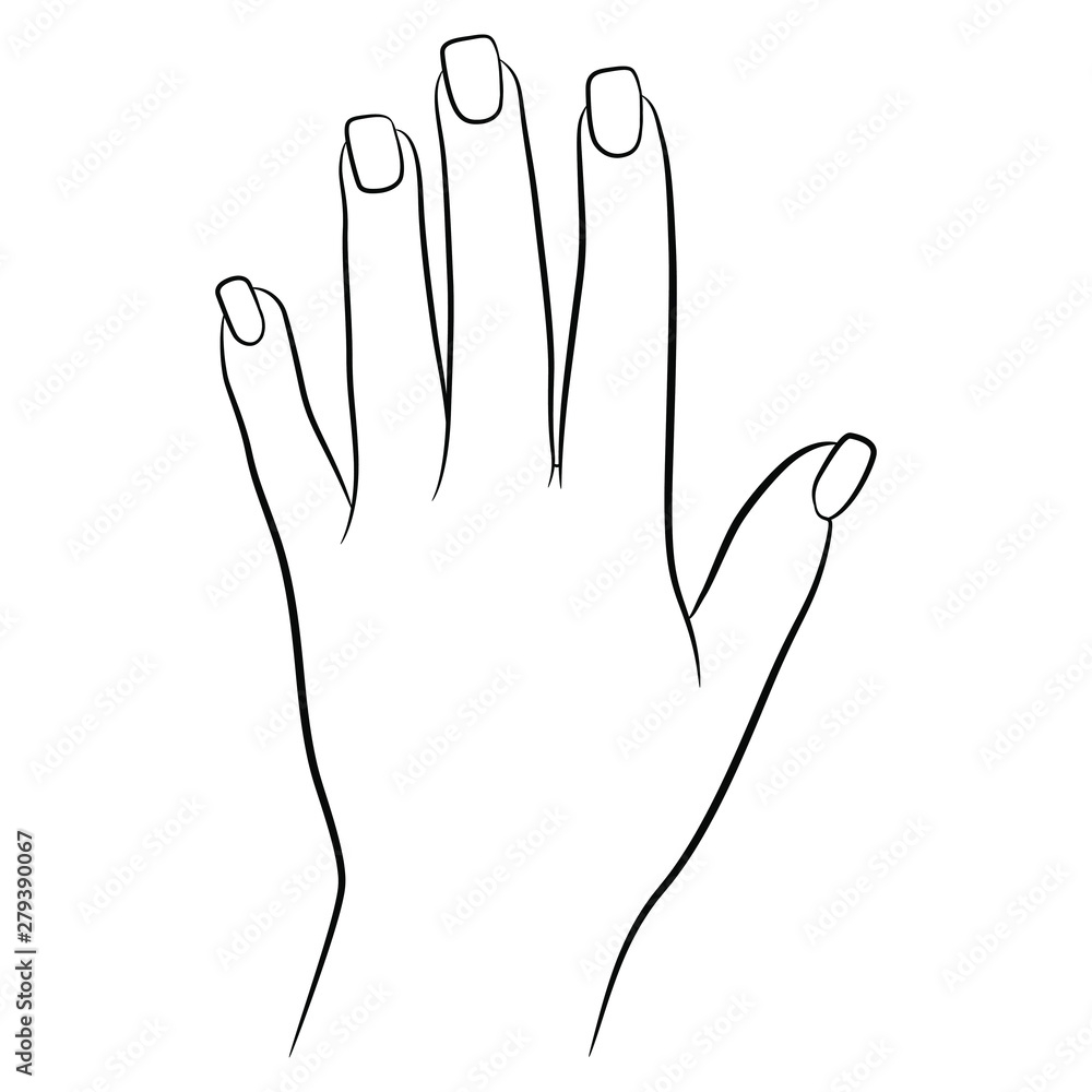 Stock Vektorgrafik Top View Of Beautiful Female Hand With Square 